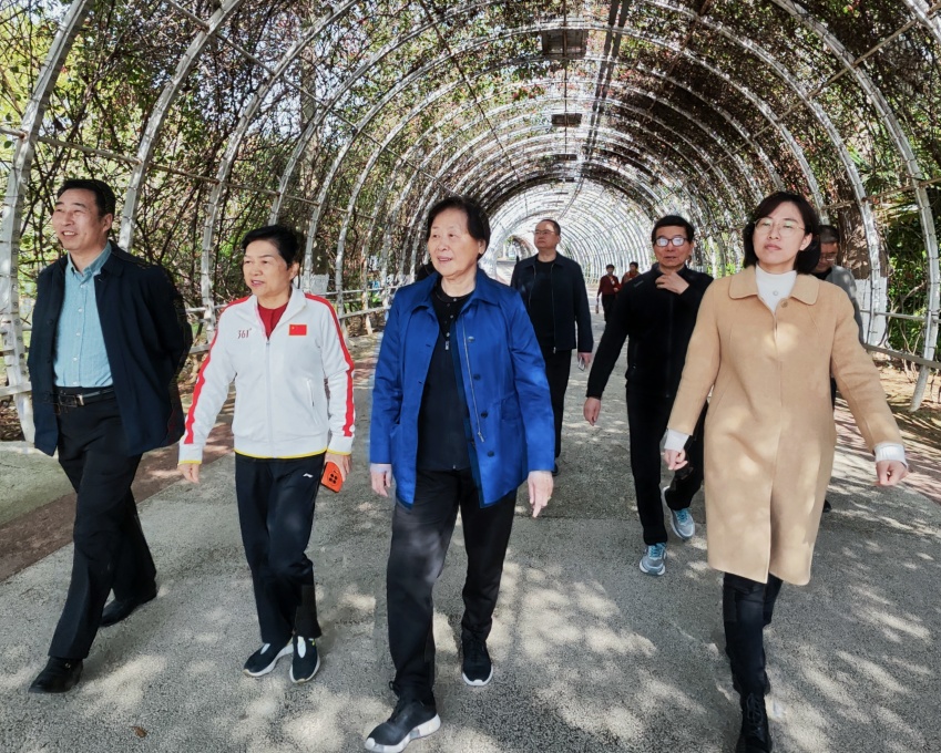 王美香主席到莆田市开展基层老年体育工作调研
